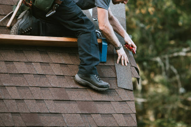 Best Rubber Roofing (EPDM, TPO)  in Park Ridge, NJ